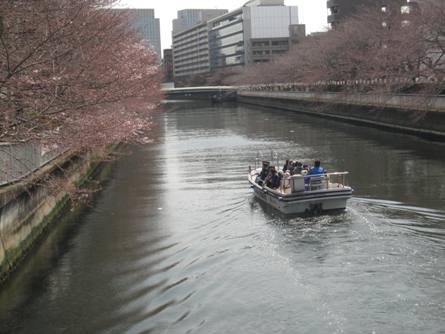 桜遊覧船